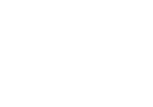Shopify E-commerce